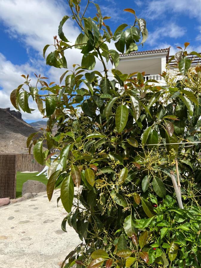 Casa Rural Con Bano Adaptado Y Piscina En Mogan Ngoại thất bức ảnh